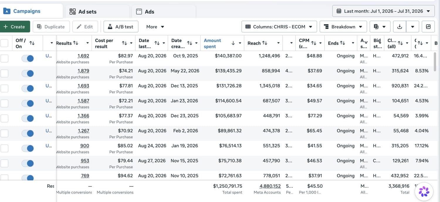Meta Ads Manager result — high-spend ecommerce account 2