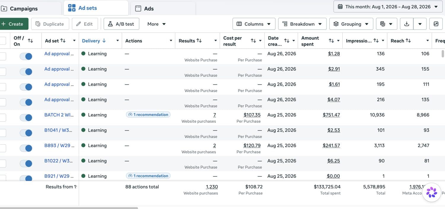 Meta Ads Manager result — high-spend ecommerce account 5