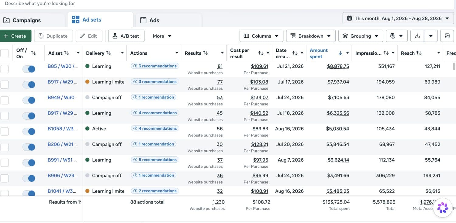 Meta Ads Manager result — high-spend ecommerce account 6